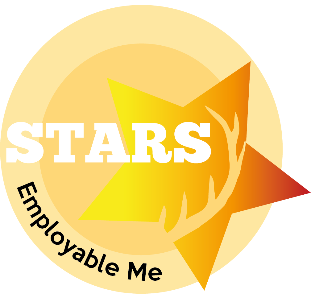 EmployableMe STARS Award