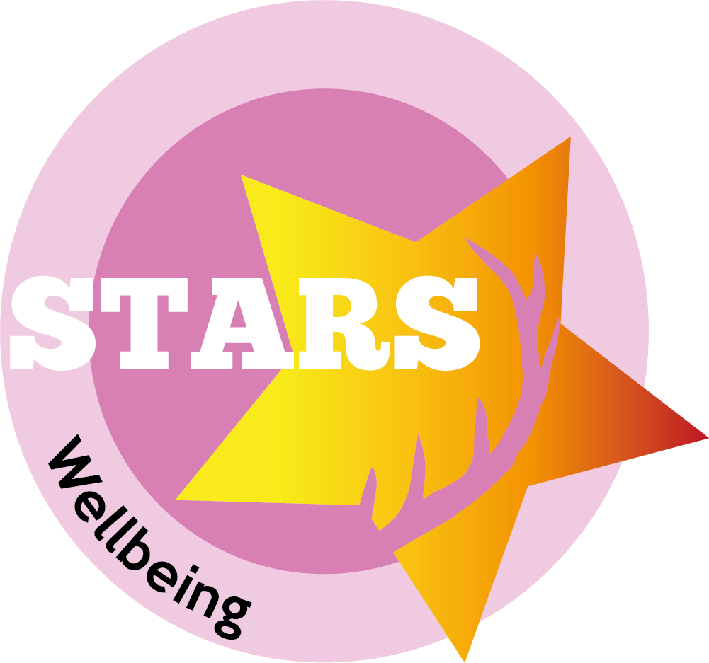 Wellbeing STARS Award