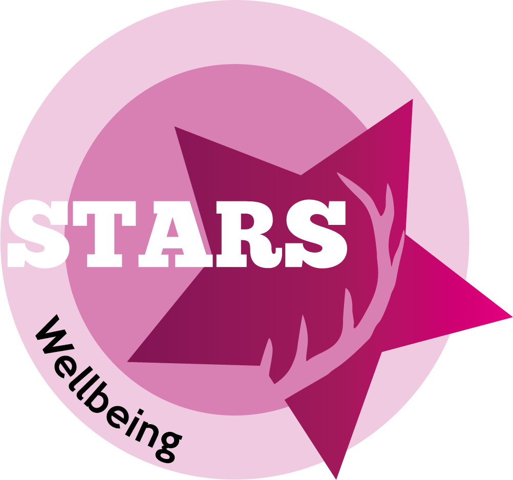 Wellbeing STARS Award