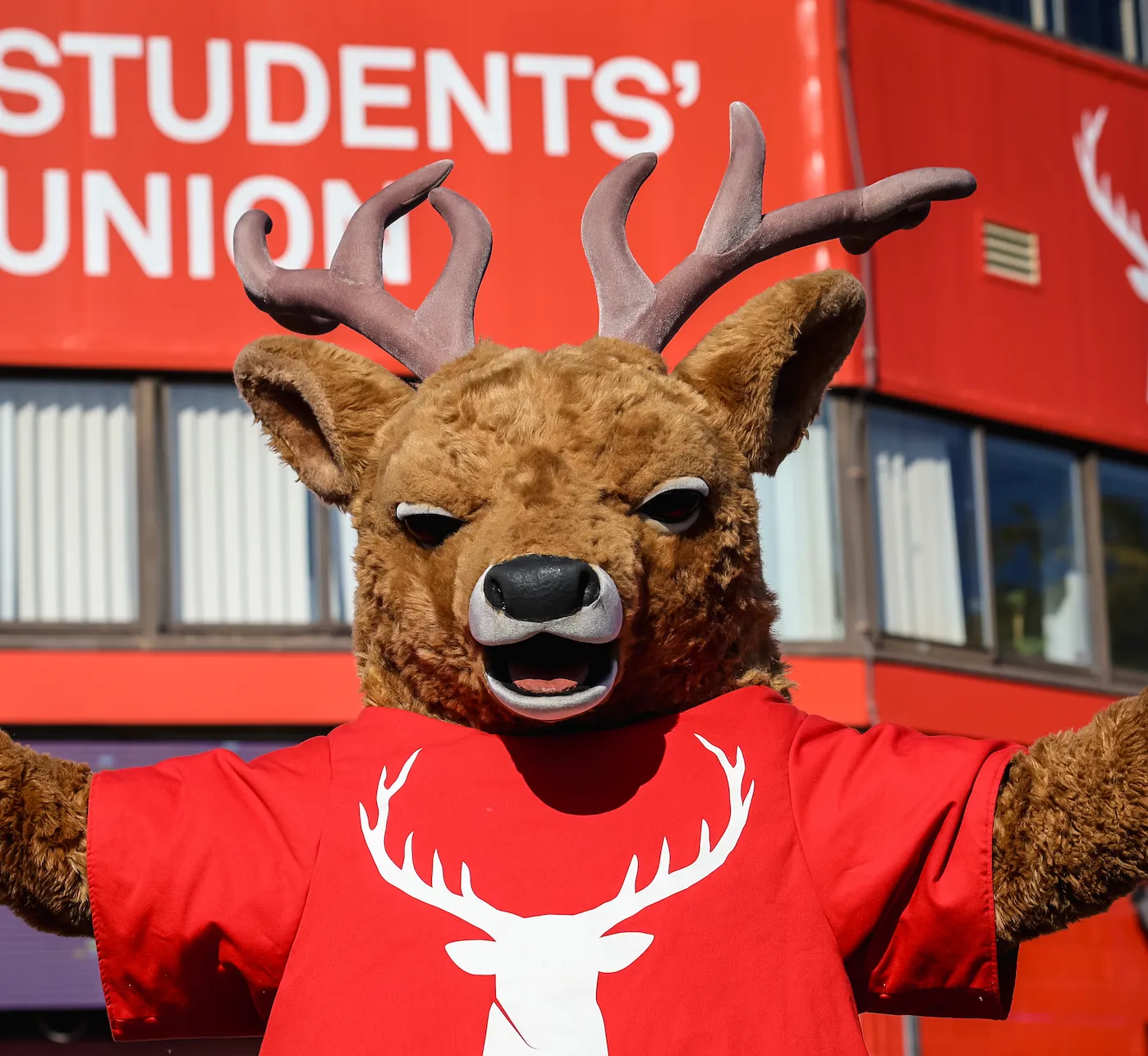 safeRelation(page.author.image)?.alt ?? 'Author Image'