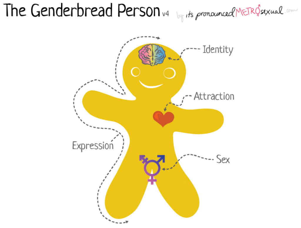 The Genderbread Person - Surrey Students' Union