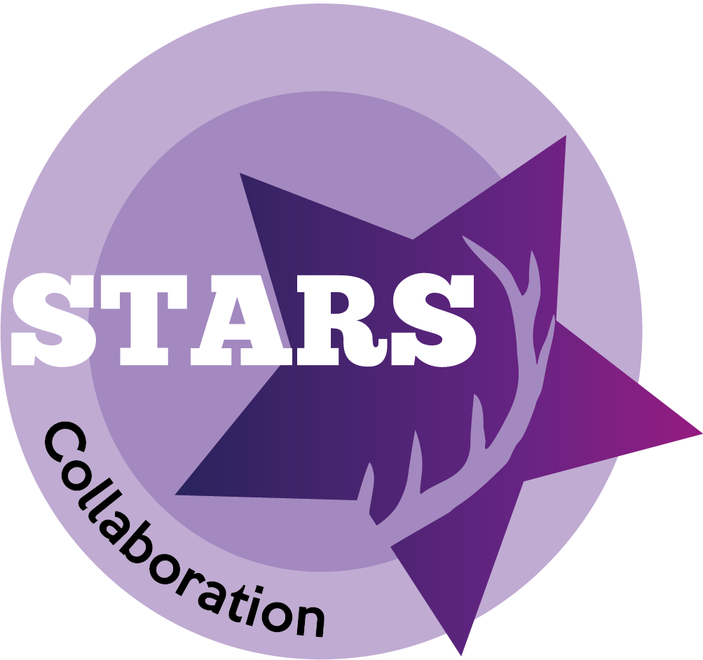 Collaboration STARS Badge
