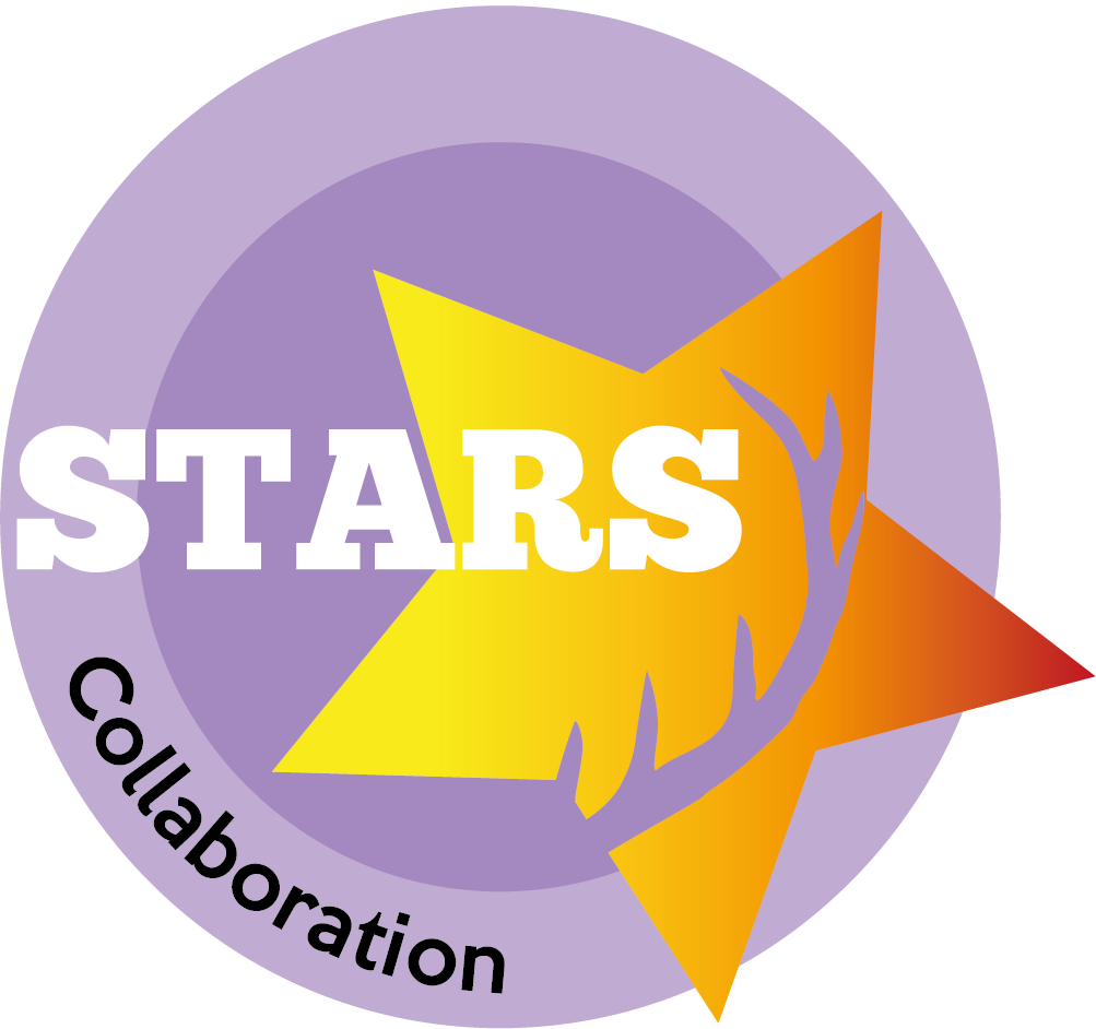 Collaboration STARS Award