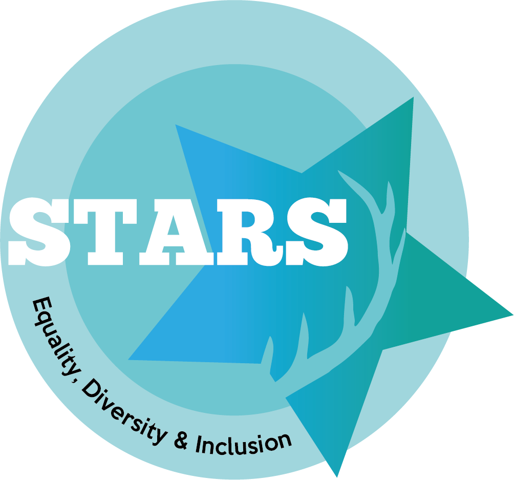 Equality, Diversity and Inclusion STARS Award