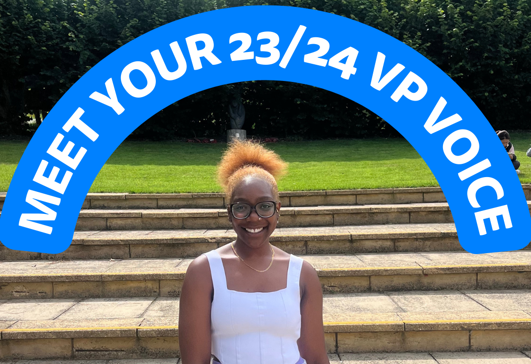 Meet your 23/24 VP Voice!